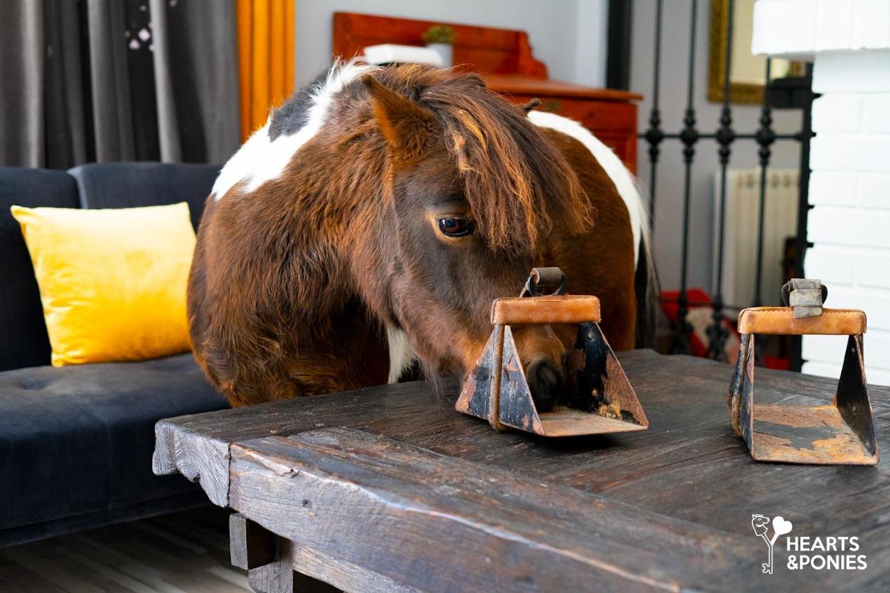 Hearts & Ponies Apartamentos Con Piscinas Privadas Cerca De La Warner Chinchón Dış mekan fotoğraf