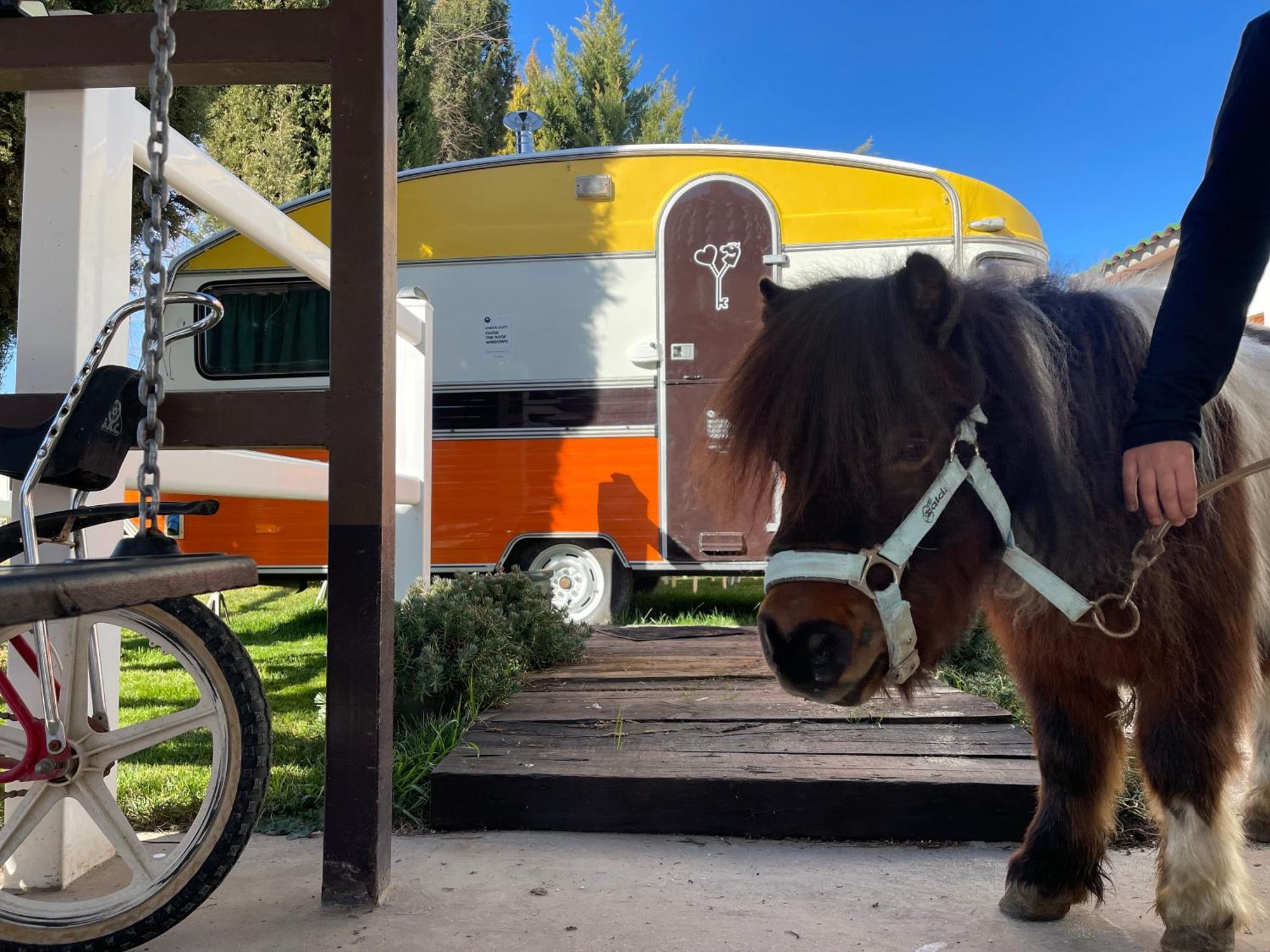 Hearts & Ponies Apartamentos Con Piscinas Privadas Cerca De La Warner Chinchón Dış mekan fotoğraf
