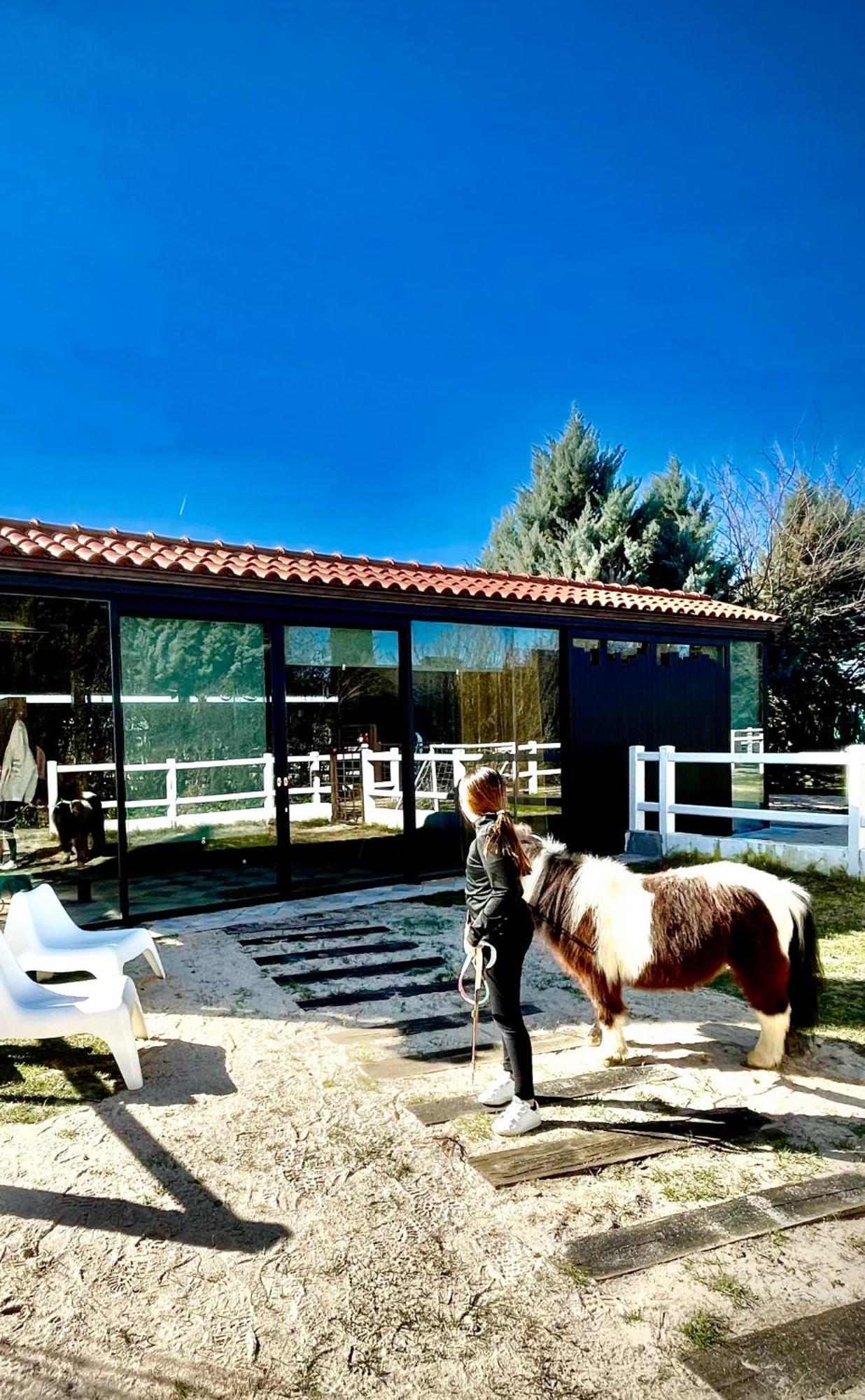 Hearts & Ponies Apartamentos Con Piscinas Privadas Cerca De La Warner Chinchón Dış mekan fotoğraf