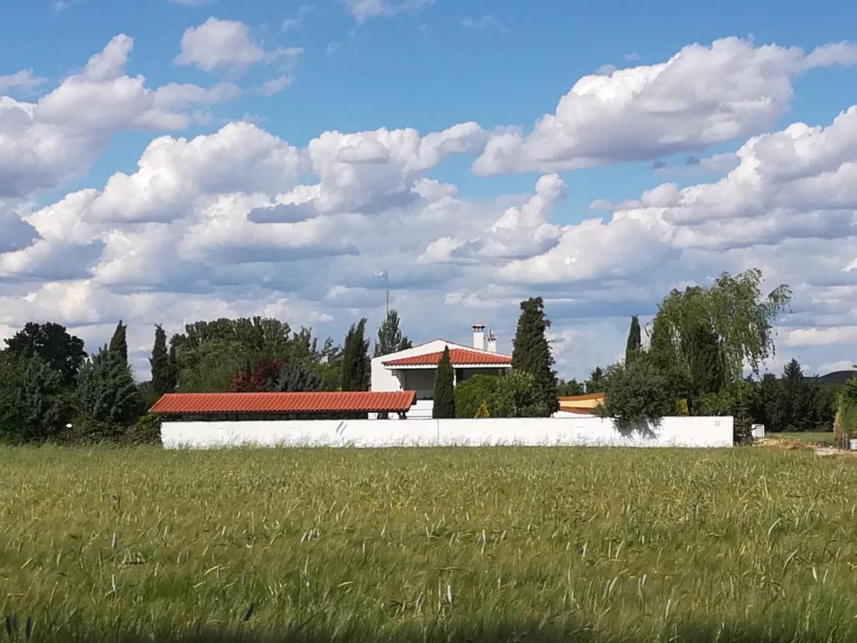 Hearts & Ponies Apartamentos Con Piscinas Privadas Cerca De La Warner Chinchón Dış mekan fotoğraf